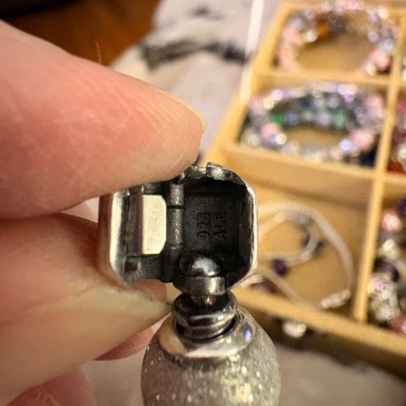 Pandora Silver Charm Bracelet - Picture 6 of 6